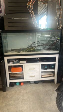 Fish tank and accessories