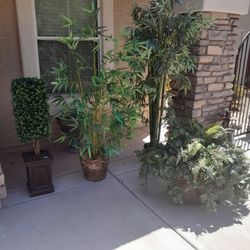 3 1/2 Ft Topiary Tree $20, Large Artificial Plants $25, 5 1/2 Ft Bamboo Palm Tree $25 Or 7 Ft Bamboo Palm Tree $40