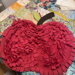 Dog Snuffle mat
