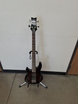 SCHECTER Raiden Special Electric Bass Guitar