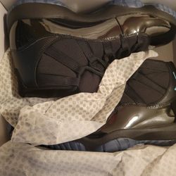 Jordan 11 Gamma Sz 11. Brand New In Box.