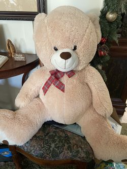 New teddy bear