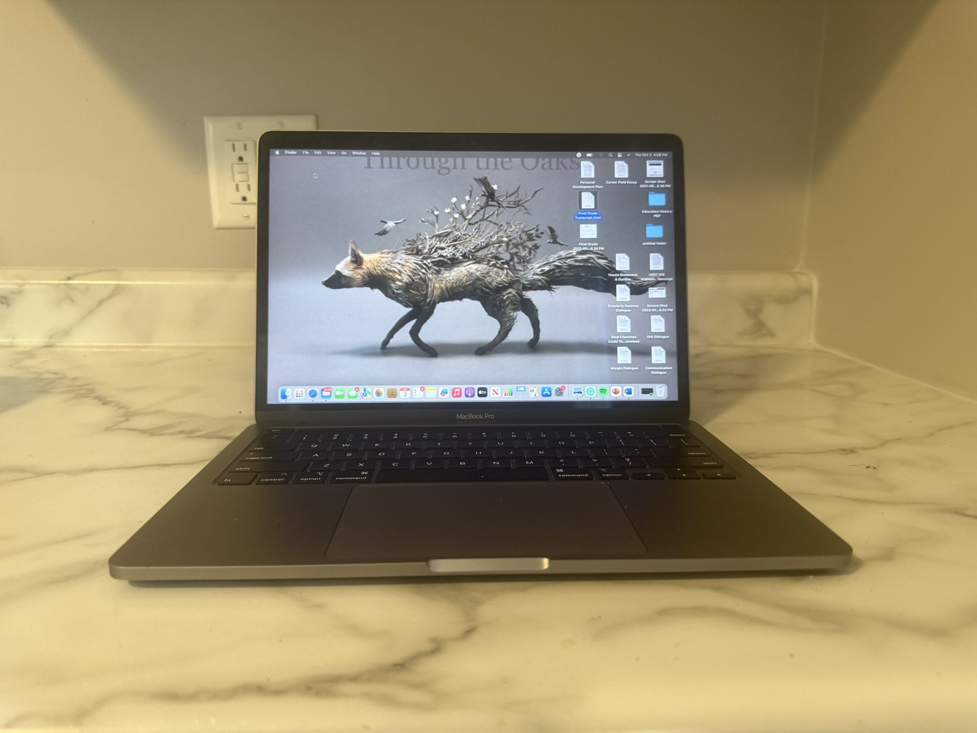 Macbook pro 13 13" (1.4GHz, 8GB, 512GB) Silver