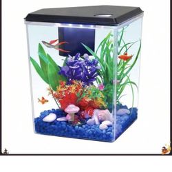 2.5g Aquarium, filter and light