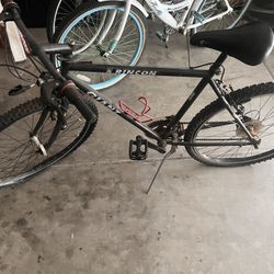  Giant Rincon Mountain Bike – Adult Size – $80 OBO