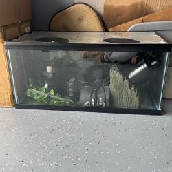 Aquarium 