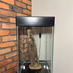 Tall Fish Tank with Stand