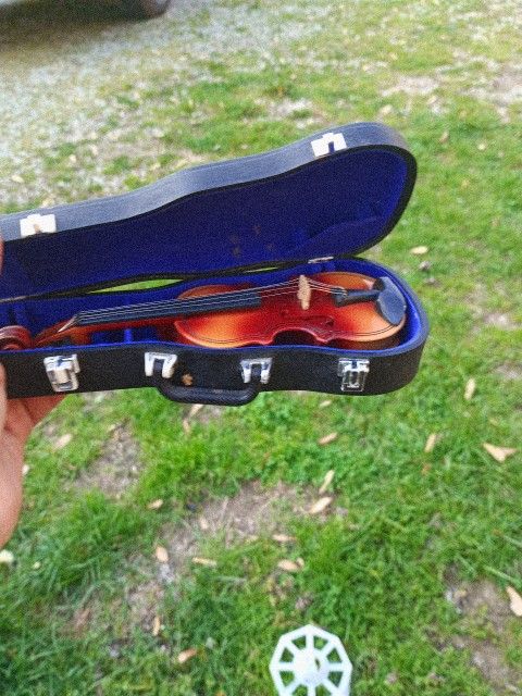 A Miniature Violin
