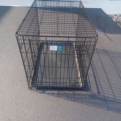 Midwest Dog Crate