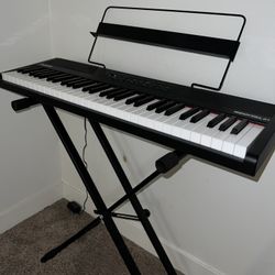 Alesis Electric Keyboard Piano