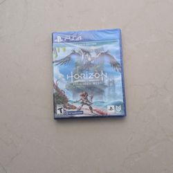 PS4 Horizon Game