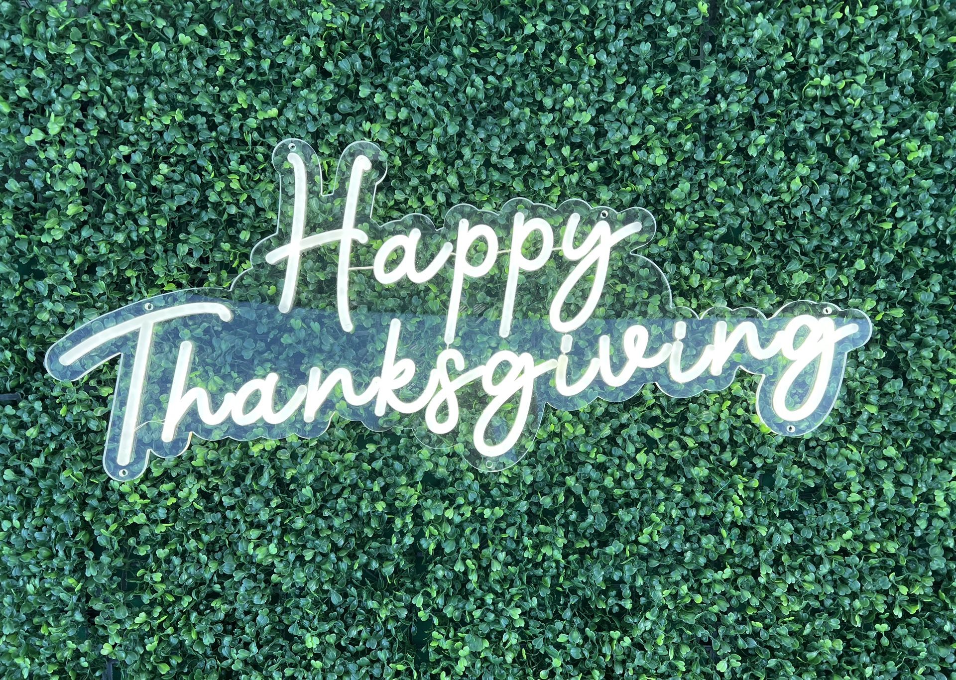 Happy Thanksgiving Neon Sign