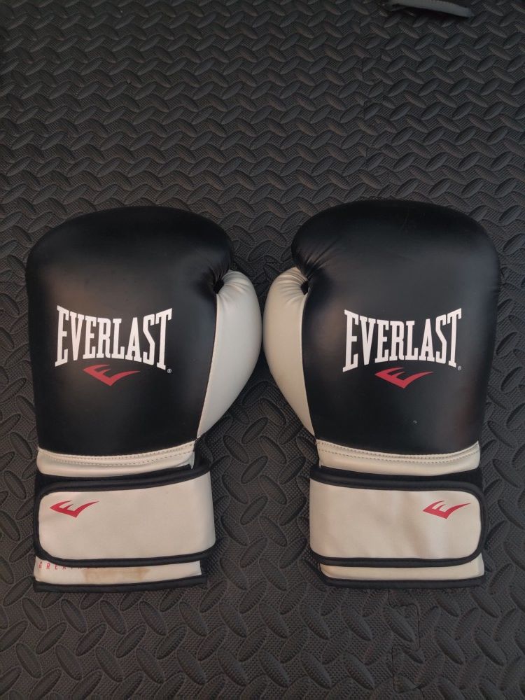 EVERLAST BOXING GLOVES - 16 oz