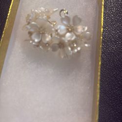 women’s   earrings