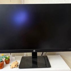HP 24m Monitor