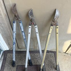 Tijeras De Podar 100 Por Las 3 