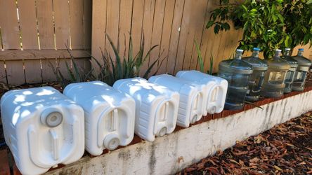 5 Gallon Jugs 10 ea
