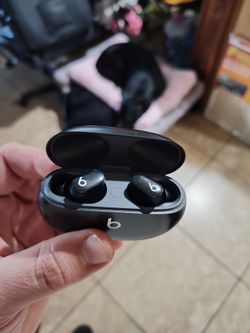 Beat studio earbuds