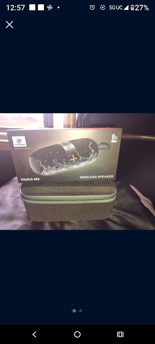 Panda 808 Bluetooth Speaker Brand New In Box With Case And Bag