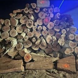 Dry Eucalyptus Firewood