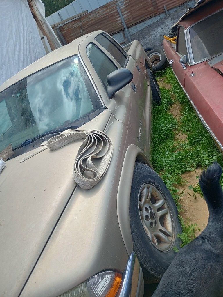 2010 Dodge Dakota