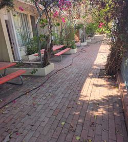 Kids school picnic tables 16 in all