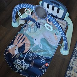 Fisher Price Playmat Kick and Play