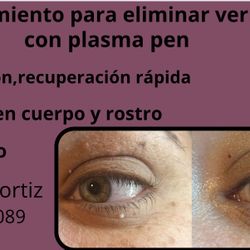 a sus órdenes 