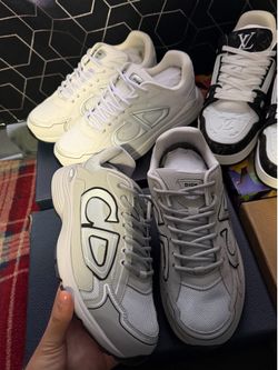 Grey Dior b30