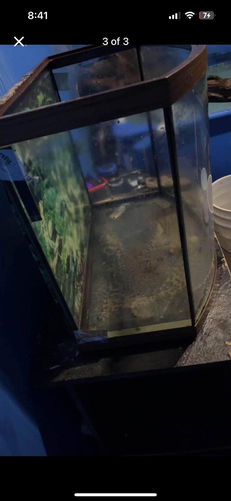 30 Gallon Bowfront No Cracks Or Leaks
