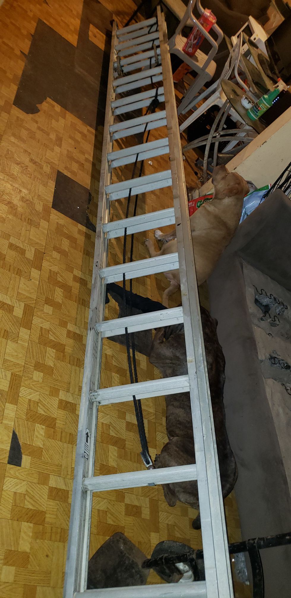 28ft ladder