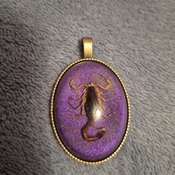 Real Scorpion Pendant For Necklace