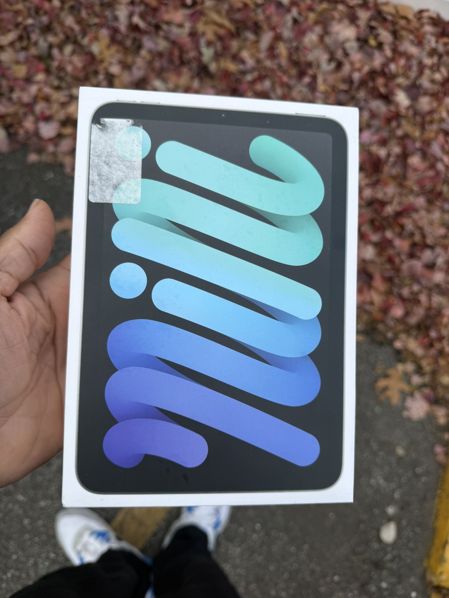 🚨🚨🚨 iPad Mini 