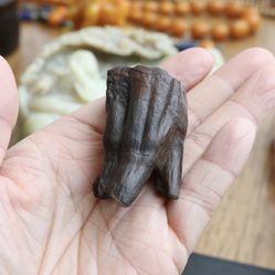 2X Fossil T 🦷-Rare Fossil 🦕- great condition- two T 
