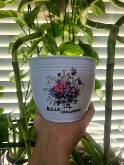 White ceramic planter pot