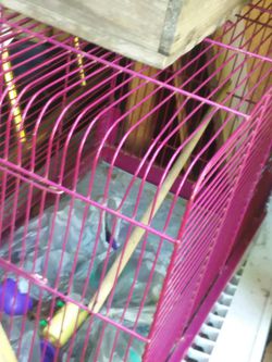 Small pink/purple bird cage with some accessories