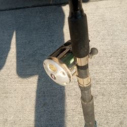 8 Foot Fishing Pole For $200
