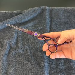 7 Inch Scissors 