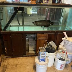 180 Gallons  Glass Fish Tank  Aquarium 6x2x2  With Sump fish tanks aquariums