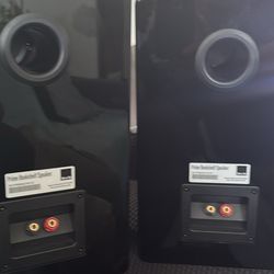 Svs  Prime Book Self Speakers 
