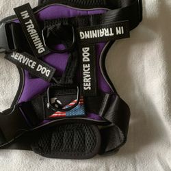 Dog Harness (with Changeable Service Or In Training)