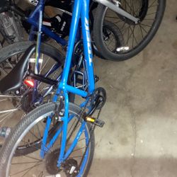 Young Adult Trek Bike
