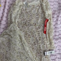 Lace Overlay Cocktail Dress 