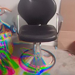 Salon Chair 