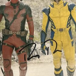 FRANK OZ SIGNED AUTOGRAPH 8X10 COLOR GLOSSY PHOTO STAR WARS COA !