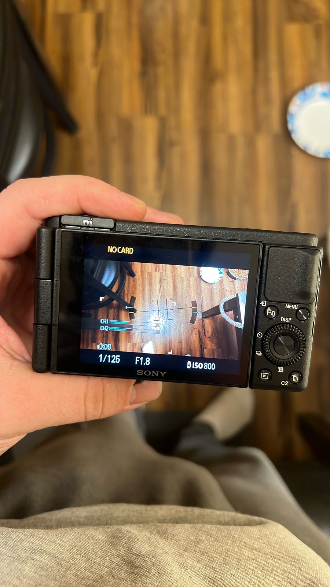 Sony Zv1