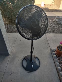 18" Black Fan -$10