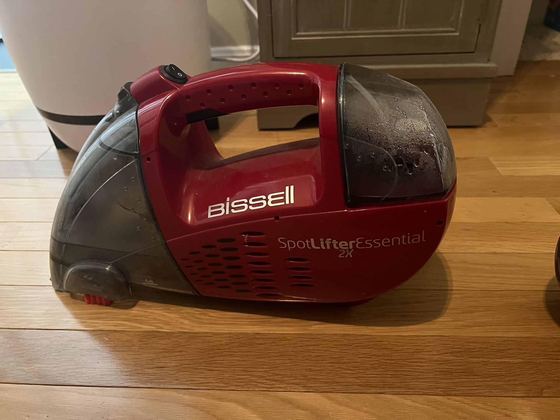 Bissell Steam Cleaner