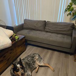 Gray Couch