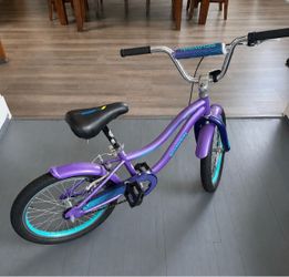 Kids Schwinn Bike
